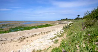 Camping Essi - La Pointe de Grignon