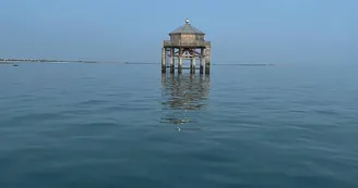 Sortie en mer à la voile - Capeole Sortie en mer à la voile - Capeole
