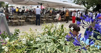 Brasserie Brada Brasserie Brada