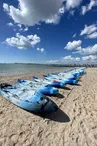 Sortie en Canoë avec moniteur La Rochelle (2h) - TEX'