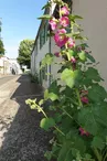 Nieul-sur-Mer