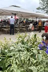 Brasserie Brada